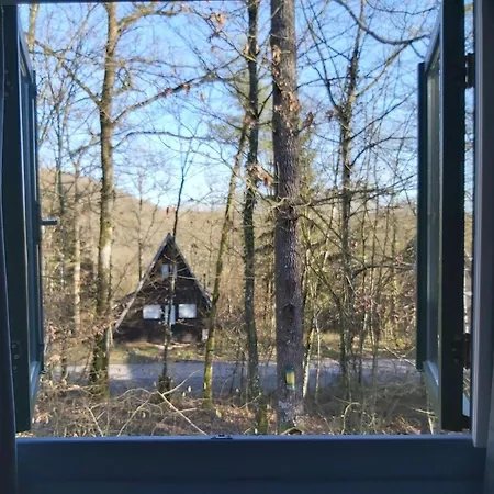 Woodpecker - 29 杜柏