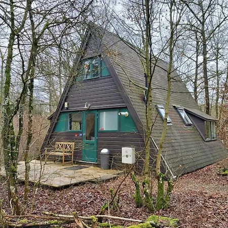 Woodpecker - 29 杜柏