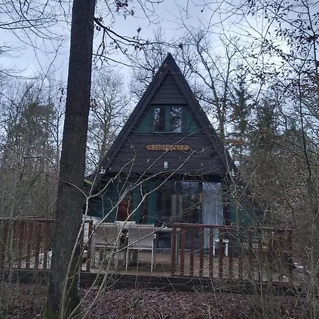 Woodpecker - 29 杜柏