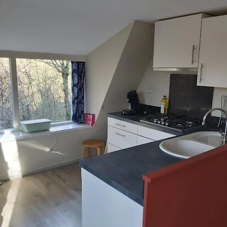 Woodpecker - 29 木屋