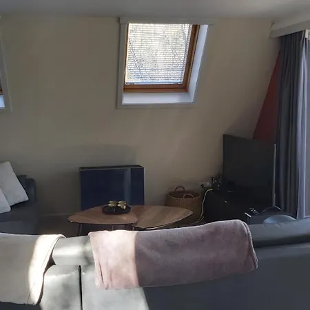 Woodpecker - 29 Chalet Durbuy