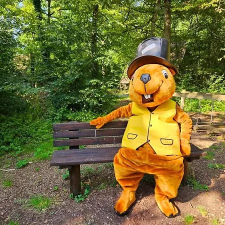 Woodpecker - 29 Durbuy